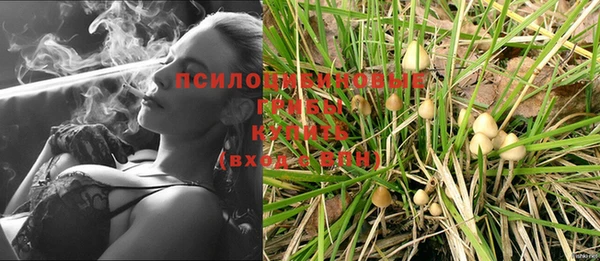спиды Алексеевка