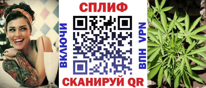 Конопля марихуана сколько стоит Закаменск